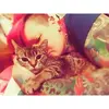samanthafriedman84 - @samanthafriedman84 - TikTok
