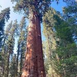 Sam Fuchs - @yefeng6688 - Instagram