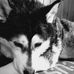 Sam Fuchs - Facebook