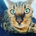 Sam Furman - Facebook