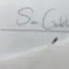 Sam - @samgabler4 - TikTok