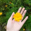 Samgabriel - @samgabriel987 - TikTok