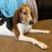 Sam Gilbert - Facebook
