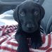 Sam Gilbert - Facebook