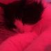 Sam Gilmer - Facebook