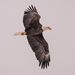 Sam Gilmer - Facebook