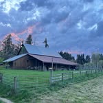 Sam Gilmer - @sam.gilmer.146 - Instagram