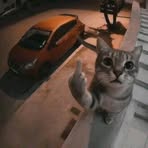 Sam Given - Facebook