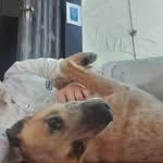 Sam Given - @kate_m_given - Instagram