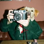 sᴀᴍ ɢᴏᴀᴅ - @sammy_g_23 - Instagram