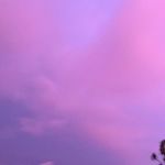 Sam - @samgood___ - Instagram