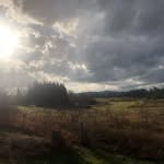 Sam Gorton - @gortonsm - Instagram