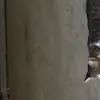 samanthagreenwell - @samanthagreenwell0 - TikTok