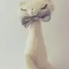 samantha Pérez grosso  - @samyperez09 - TikTok