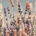 Sam Groth - Facebook