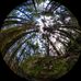 Sam Groth - Facebook