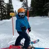 Sam Gustafson - @sammgustafson - TikTok