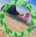 Sam Haines - Facebook