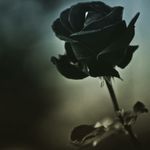 Sam Haley - @_sam_haley - Instagram