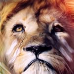 sam halliday - @halliday1568 - Instagram