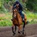 Sam Hammer - Facebook