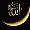 samhammoud81 - @samhammoud81 - TikTok