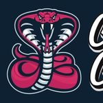 Sam Handy - @clovellycobras - Instagram