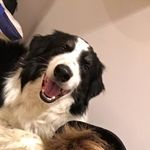Sam Handy - @sammy.handy - Instagram