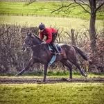 Sam Hanks - @hanks5353 - Instagram