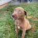 Sam Hardison - Facebook