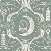 Sam_hargrove. - @sam_hargrove.0 - TikTok