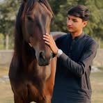 Sam Hassan - Facebook