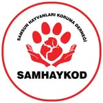 SAMHAYKOD - @samhaykod - Instagram