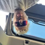 Sam Heaton - @heatoburrito - Instagram