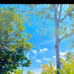 Sam Harun - Facebook