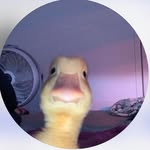 Sam Hix - @samuelhix - Instagram