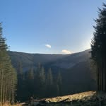 Sam Hodgson - @shbikeworks - Instagram
