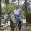 Sam Hodgson - @sam.hodgson4 - TikTok