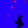 Sam holly - @callmesamholly - TikTok