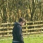 Sam Hollis - @samhollis497 - Instagram
