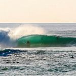 Sam Hollis - @wombat_wally - Instagram