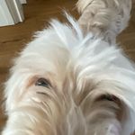 Sam holman - @samholman____ - Instagram