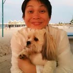 Sam Hoong - @waisamhoong - Instagram
