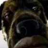 Sam Horner - @sam.horner29 - TikTok