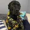 Sam Horner - @samhorn2218 - TikTok