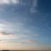 Sam hou - @sam.houss - TikTok