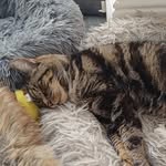 Sam Humphreys - @shumphreys08 - Instagram
