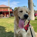 Sam Hurtado - @samhurtadooo - Instagram