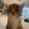 [sam] - @husksam - TikTok