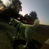 Samhusky - @samhusky83 - TikTok